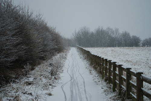 DSC_3930-footpath-snow